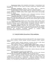 Biudžeto reforma 13 puslapis