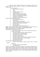 Biudžeto reforma 15 puslapis