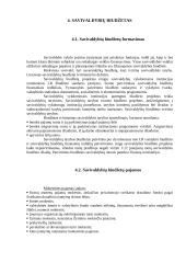 Biudžeto reforma 16 puslapis