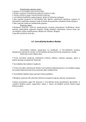 Biudžeto reforma 17 puslapis