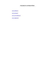 Biudžeto reforma 19 puslapis