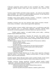 Biudžeto reforma 7 puslapis