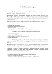 Biudžeto reforma 9 puslapis