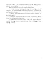 Biurokratijos samprata 4 puslapis