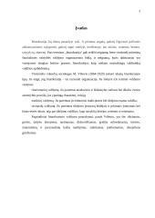 Biurokratinis valdymas 3 puslapis