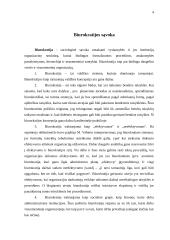 Biurokratinis valdymas 4 puslapis