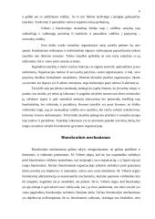 Biurokratinis valdymas 6 puslapis