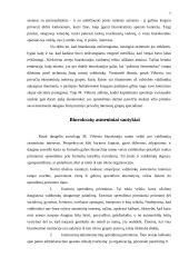 Biurokratinis valdymas 7 puslapis