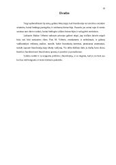 Biurokratinis valdymas 10 puslapis