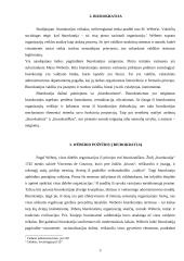 Biurokratija šiuolaikinėje visuomenėje 3 puslapis