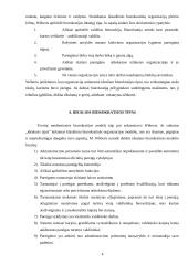 Biurokratija šiuolaikinėje visuomenėje 4 puslapis