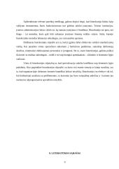 Biurokratija šiuolaikinėje visuomenėje 9 puslapis