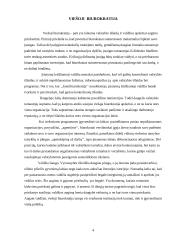 Biurokratija šiuolaikinėse demokratinėse valstybėse 2 puslapis