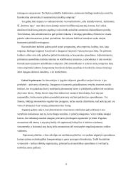 Biurokratija šiuolaikinėse demokratinėse valstybėse 4 puslapis