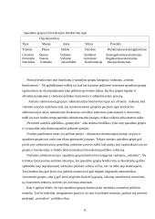 Biurokratija šiuolaikinėse demokratinėse valstybėse 6 puslapis