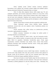 Biurokratijos vaidmuo modernioje valstybėje 10 puslapis