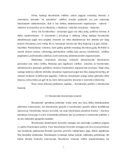 Biurokratijos vaidmuo modernioje valstybėje 6 puslapis