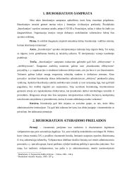 Biurokratizmas: prielaidos, formos, profilaktika 2 puslapis