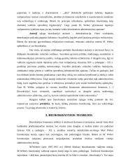 Biurokratizmas: prielaidos, formos, profilaktika 3 puslapis