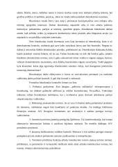 Biurokratizmas: prielaidos, formos, profilaktika 8 puslapis