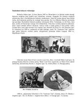 Bokserių veislės šunys 2 puslapis