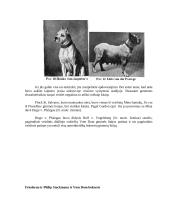 Bokserių veislės šunys 3 puslapis