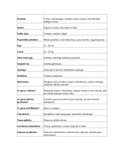 Bokserių veislės šunys 7 puslapis