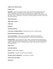 Bokserių veislės šunys 9 puslapis