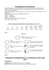 Brangakmeniai ir viskas apie juos 12 puslapis