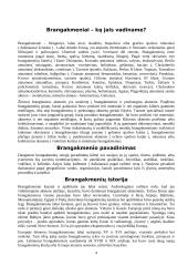 Brangakmeniai ir viskas apie juos 4 puslapis