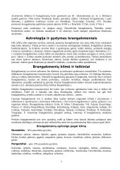 Brangakmeniai ir viskas apie juos 5 puslapis