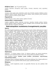 Brangakmeniai ir viskas apie juos 6 puslapis