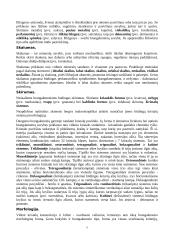 Brangakmeniai ir viskas apie juos 7 puslapis