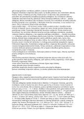 Bronchitas 4 puslapis