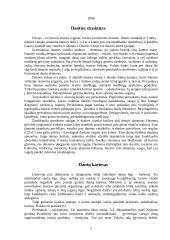 Burnos higiena ir maisto poveikis dantims 2 puslapis