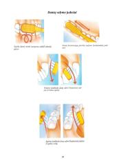 Burnos higiena ir maisto poveikis dantims 18 puslapis
