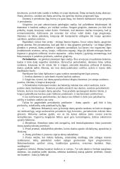 Burnos higiena ir maisto poveikis dantims 4 puslapis