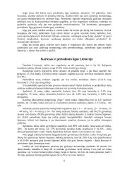 Burnos higiena ir maisto poveikis dantims 6 puslapis