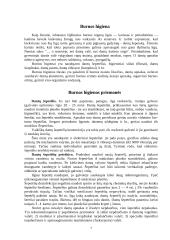 Burnos higiena ir maisto poveikis dantims 7 puslapis