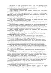 Burnos higiena ir maisto poveikis dantims 9 puslapis