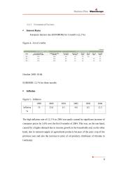 Business Plan Wienerberger  Ukraine 14 puslapis