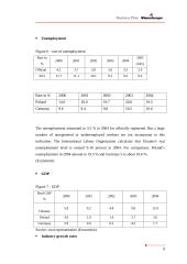 Business Plan Wienerberger  Ukraine 15 puslapis