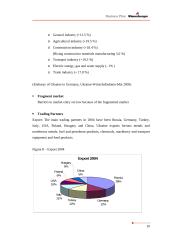 Business Plan Wienerberger  Ukraine 16 puslapis