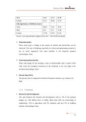 Business Plan Wienerberger  Ukraine 19 puslapis