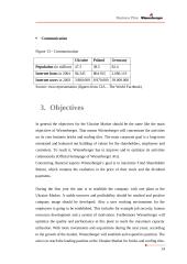 Business Plan Wienerberger  Ukraine 20 puslapis