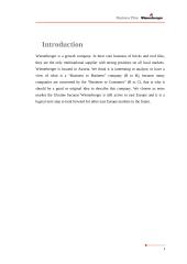 Business Plan Wienerberger  Ukraine 3 puslapis