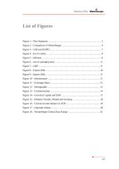 Business Plan Wienerberger  Ukraine 6 puslapis