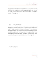 Business Plan Wienerberger  Ukraine 8 puslapis