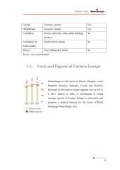 Business Plan Wienerberger  Ukraine 10 puslapis