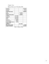 Business plan: windows shading "Shadow" 12 puslapis